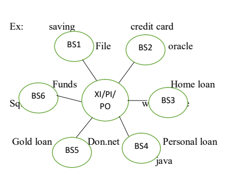 SAP XI